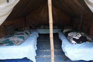 Отель Wildhawk Adventures