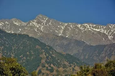 Hotel Shilpi Shavala