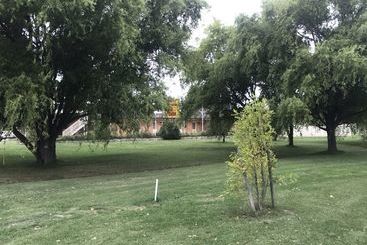 모텔 Snowy Mountains Motor Inn