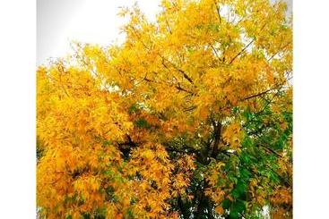 Apartamentos Valle Del Guadalquivir