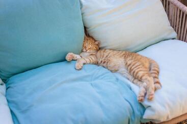 فندق Masseria Brigantino