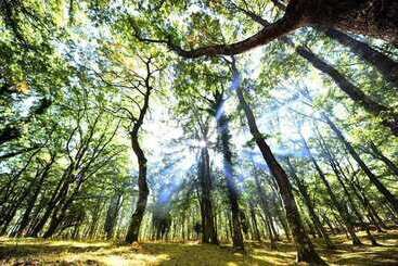 شقة فندقية B&b Residence La Cappella Del Convento