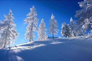 ユースホステル Gasthaus Maislau