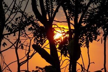 Pension Pousada Fênix