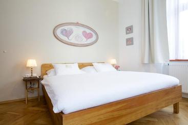 بنسيون Wellness Penzion U Muzea