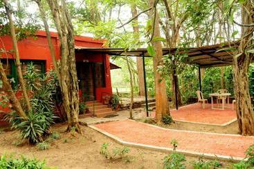 פנסיון Bamboo Banks Farm & Guest House