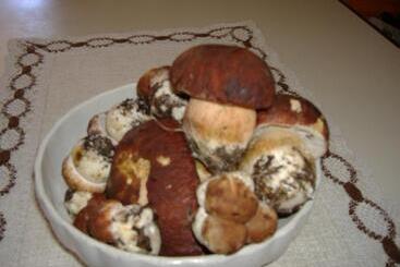 Lägenhetshotell Residence Hotel Montechiara