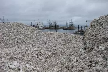 ペンション Historic 1920s Cabin