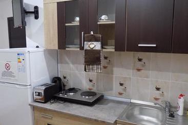 Pensiunea Red Rose Apartments