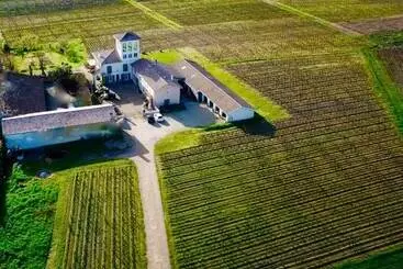 Majatalo Château Trillon