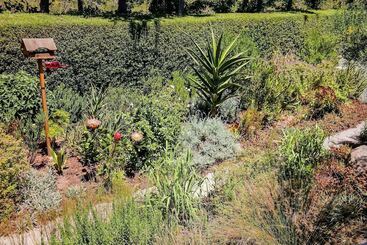 بنسيون Elgin Valley Inn