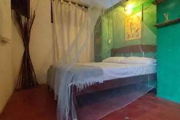 هاستل Posada Gallinas