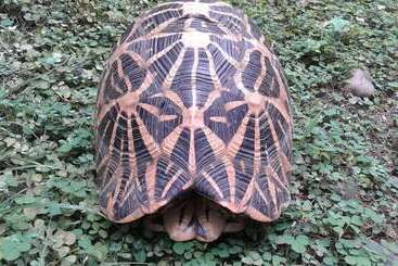 Pensão Katagamuwa Rest