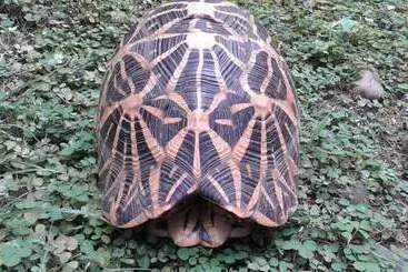 Pensió Katagamuwa Rest