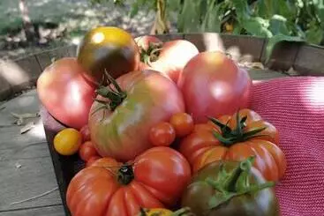 Herberge Finca La Clementina