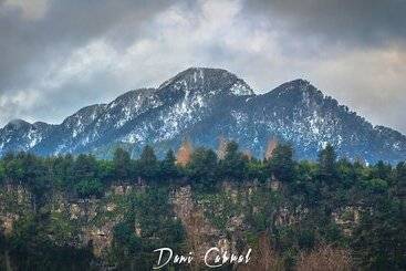 ペンション Hostal Eluney