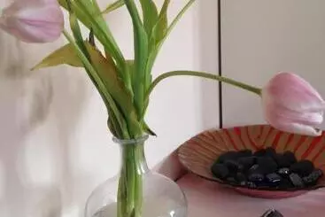 ベッドアンドブレックファースト Viamilano25