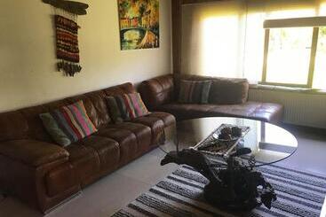 پانسیون Complejo Molco Sur Con Piscina