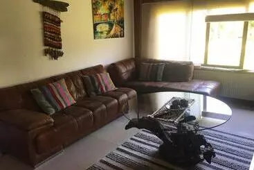 Pension Complejo Molco Sur Con Piscina