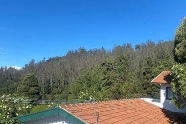 Nocleg ze śniadaniem The Tamarillo