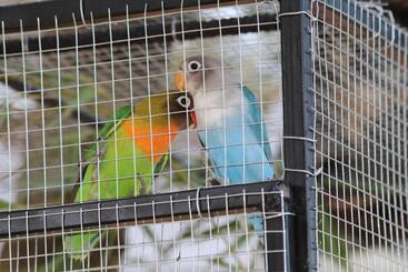 Bed and Breakfast Chambre D Hotes L Intemporelle