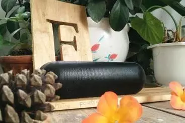Albergue Forelsket 2