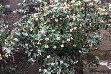 پانسیون Batumi Guesthouse 28a