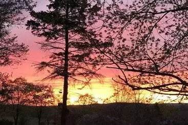 Carriage Stop Bed & Breakfast