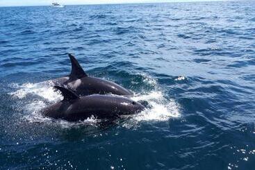 Pansiyon Shiretokoserai