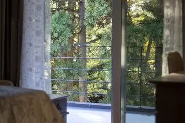 Albergue Seseraginomori Chambre D Hote Etoile Et Fees