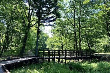 پانسیون Sanga Nikko