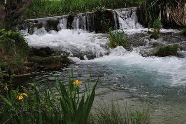 פנסיון Royuela Hostal