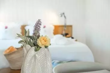 Casa Do Rio   Douro Wine Hotel By Vallado