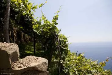 Hotel La Sosta Di Ottone Iii