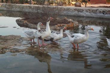 ホテル Agriturismo Zio Zac