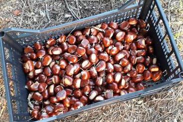 ホテル Le Bottesele