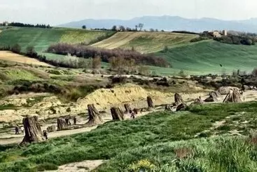 Hotel Agriturismo Podere Luchiano