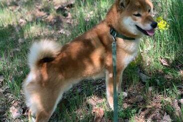 فندق Agriturismo I Leprotti