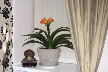 ペンション Alba Guest House