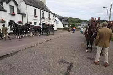 Ostello The Horseshoe Inn