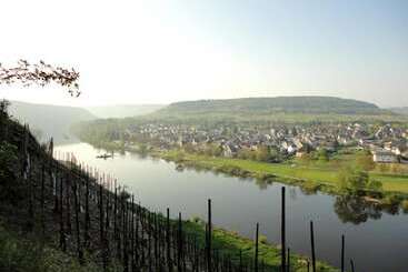 פנסיון Wein & Wohngut Paulushof