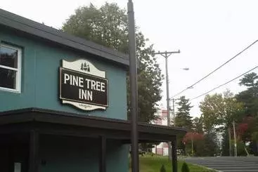 ユースホステル Pine Tree Inn