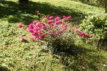 پانسیون Shotover Gardens Estate