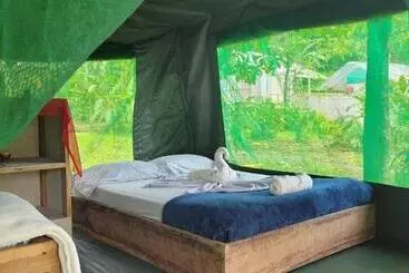 ペンション Life For Life Hostel Drake Bay Home Of Sea Turtle Marine Conservation Project Osa Peninsula Near San