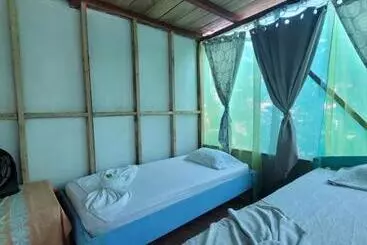 پانسیون Life For Life Hostel Drake Bay Home Of Sea Turtle Marine Conservation Project Osa Peninsula Near San