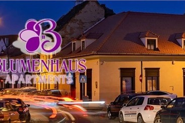 アパートホテル Blumenhaus Sibiu