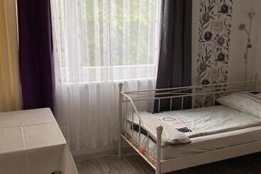 Общежитие Gasthaus Zum Stadtwald