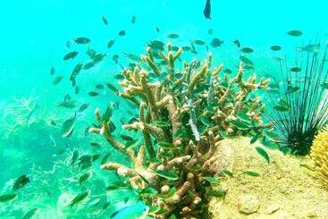 Pensione Pd Guesthouse