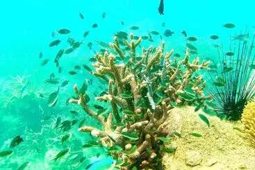 Pensió Pd Guesthouse