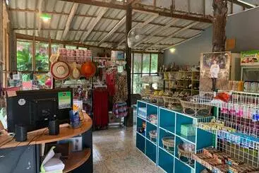 Pension  Pd Guesthouse